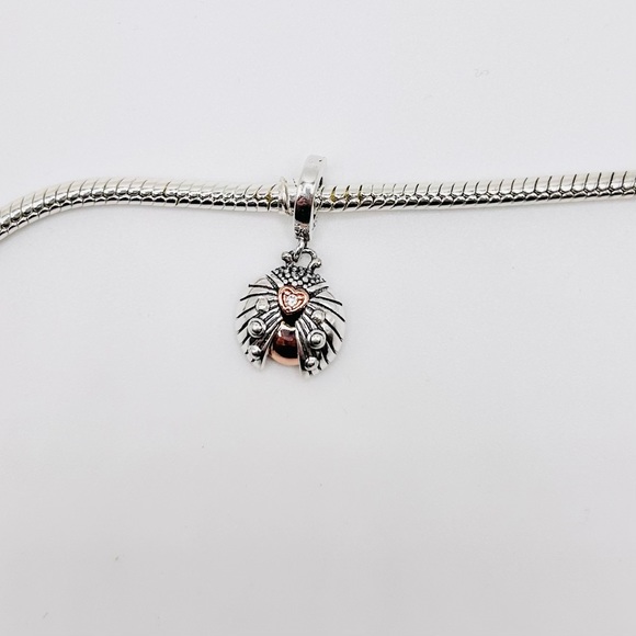 “Hope has Wings” Ladybug Pendant Charm - Picture 3 of 4